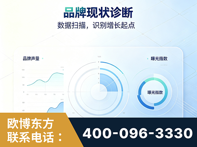 项城-品牌现状诊断