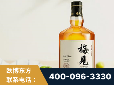 项城-梅见青梅酒