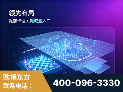 项城-领先布局：于2024年初开启GEO业务的公司